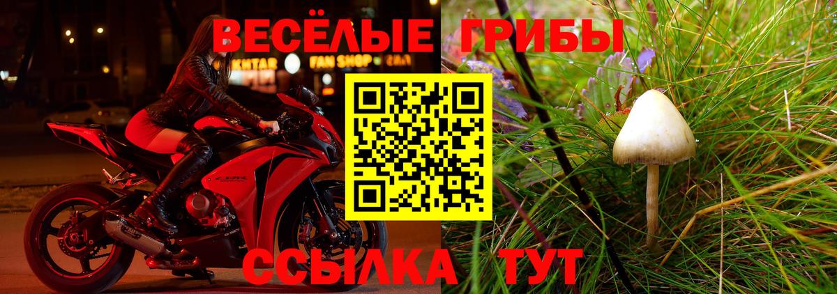 Псилоцибиновые грибы мицелий Луга