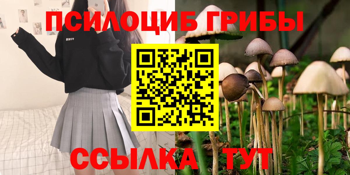 Псилоцибиновые грибы GOLDEN TEACHER  Псилоцибиновые грибы MAGIC MUSHROOMS  Вход с VPN  Луга 